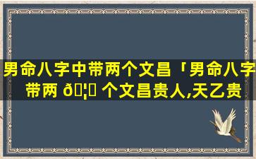 男命八字中带两个文昌「男命八字带两 🦆 个文昌贵人,天乙贵 🐡 人,带正官正印食神」